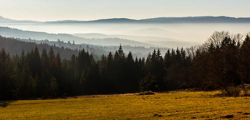 autumn nature forest landscape czechrepublic šumava rejštejn horskákvilda plzeňregion