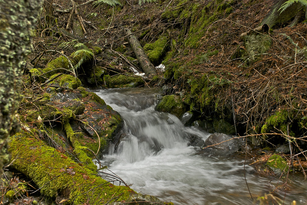 Munson Creek in Februrary