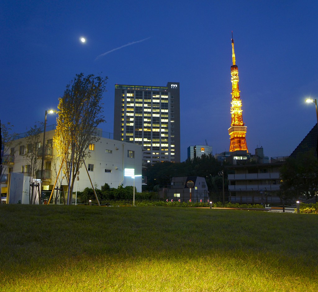 Tokyo Tower at Blue Hour