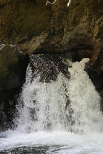 park waterfall deschutesriver thurstoncounty deschutesfalls