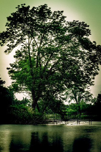 summer lake tree landscape outdoors pond unitedstates mo missouri rhineland