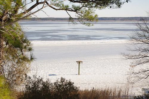 No more ice on the river at York River State Park