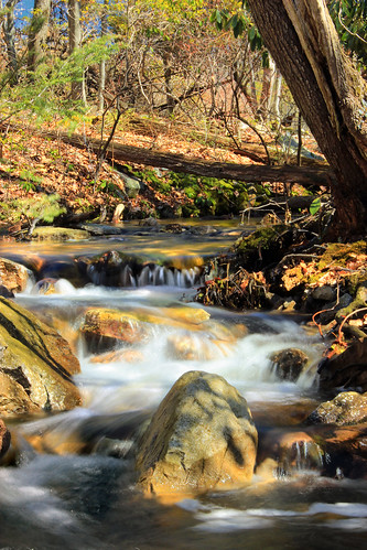 trees creek waterfall moss newjersey spring rocks stream hiking falls cascades creativecommons appalachiantrail appalachianmountains rattlesnakemountain kittatinnymountain delawarewatergapnationalrecreationarea wallpack walpacktownship woodsroadtrail