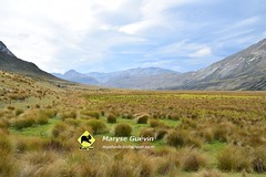 J3 Mavora track Nouvelle-Zélande