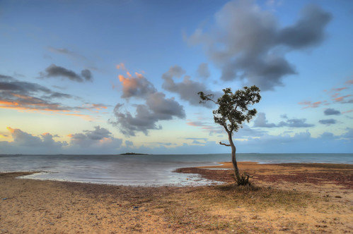 sunset sun tree beach set nikon sundown angle wide single lone hdr