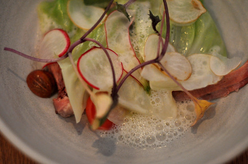 Kalvespidsbryst med radiser, kål, stikkelbær og velouté