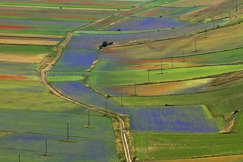 colors flora landscape fields wildflowers umbria canonef24105mmf4lisusm canoneos7d italy italia italie italien antoniovaccarini canon paesaggio paysage italië