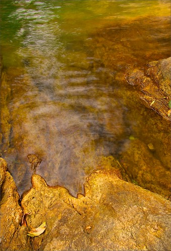 rockpools waterscapes waterholes waterimages abstractimages intimatelandscapes abstractlandscapes topazadjustanddetail irwinreynolds smallscalelandscapes cedarcreekmounttamborine cedarcreektamborinemountain abstractlandscapephotographs colourfulwaterholes colorfulwaterholes