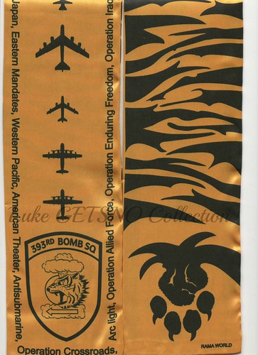 393rd Bomb Squadron Scarf
