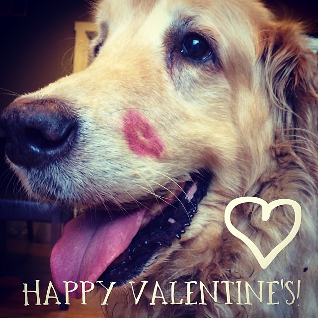 Happy Valentine's Day to you and your loved ones!