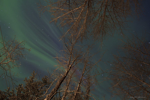 Aurora Borealis. Girdwood, AK