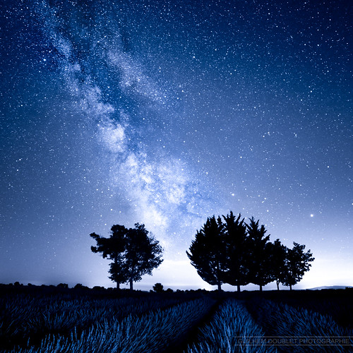 canon nightscape lavender ciel provence lavande milkyway valensole voielactée canoneos6d