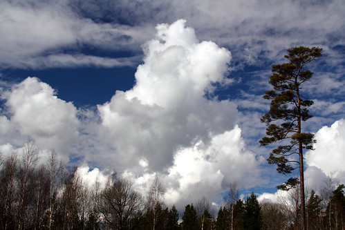 sky cloud nature clouds sweden