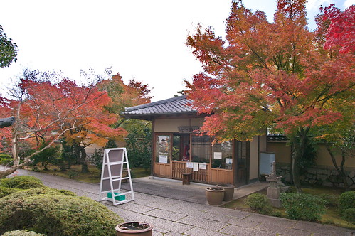 【写真】2012 紅葉 : 高桐院/2020-01-30/IMGP6907