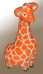 099 baby Giraffe