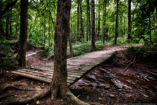 park wood bridge trees creek forest wooden newjersey crossing unitedstates hiking path trail slats titusville hdr steelerun hdrefexpro