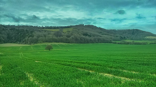 trees sky green nature field clouds sussex countryside spring westsussex row hills bepton flickrandroidapp:filter=none