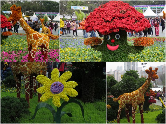 Hong Kong Flower Show 2014