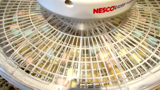 Taking my new Nesco Dehydrator for a test drive