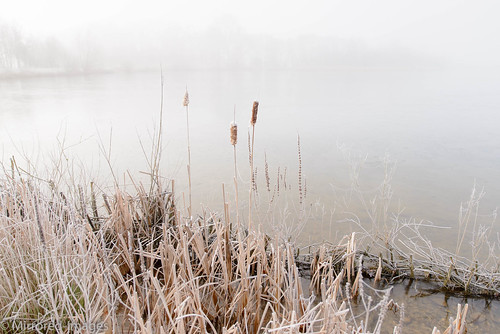 winter mist lake ice landscape frozen northyorkshire kiplinhall