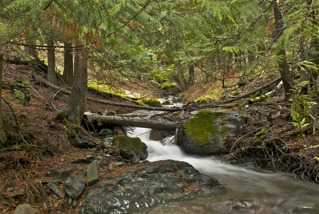 Munson Creek in Februrary