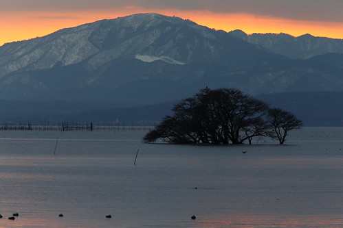 winter light sunset lake nature japan landscape 日本 冬 琵琶湖 湖北 lakebiwa 滋賀