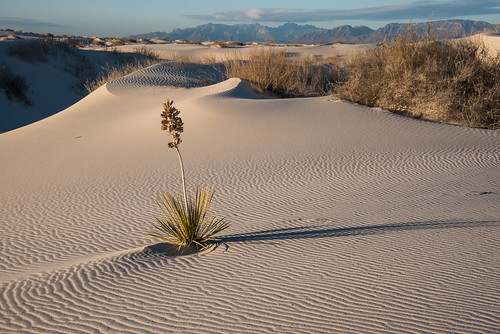newmexico sunrise march nationalpark unitedstates desert explore 414 whitesanddunes tularosa alamorgordo 122813