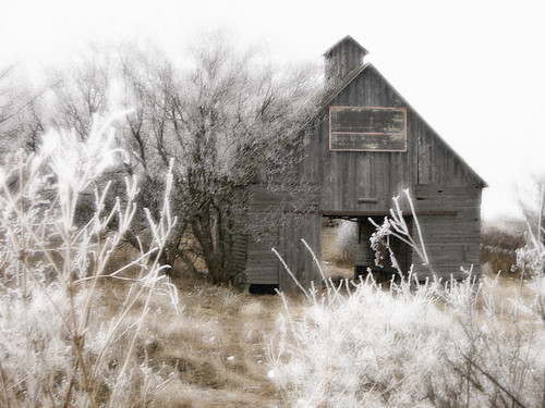 barn landscape scenery frost iowa