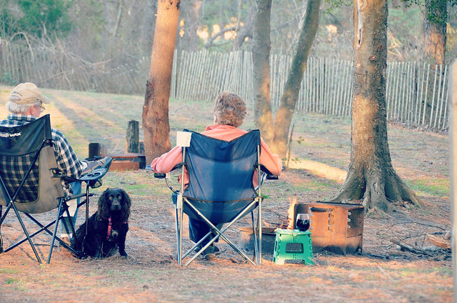 Campsite 42 at Kiptopeke State Park is the perfect place to relax and take in the sights, sounds and smells of the Chesapeake Bay