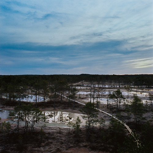 6x6 mediumformat landscape estonia kodak bog portra sqa viru zenzabronica zenzanon kolga harjucounty