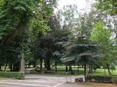 Arminiuspark