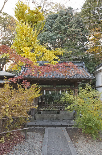 【写真】2013 紅葉 : 梨木神社/2020-09-17/IMGP4286