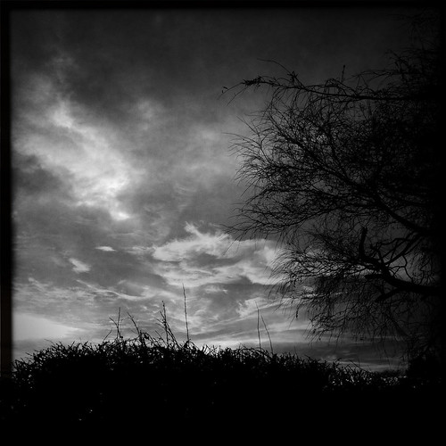 england blackandwhite bw cloud tree monochrome silhouette mono blackwhite unitedkingdom keele iphone johnslens hipstamatic blackeyssupergrain