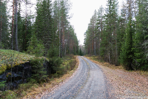 road autumn nature forest finland nikon sigma fi recreation orivesi 18250 f3563 pukala pirkanmaa d7100 dcmacrooshsm metsisianpolku