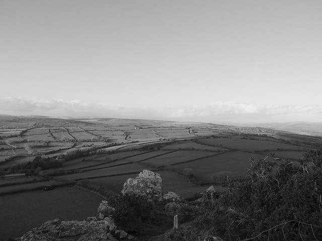 South Brent Tor: 30.12.13