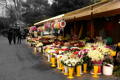 Istanbul flowers