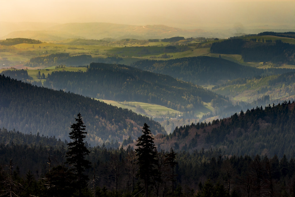 Amazing morning landscape - Góry Sowie / Poland