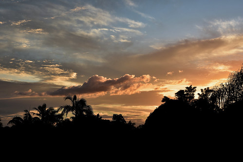 blue sunset sky storm topf25 june clouds gold twilight nikon dusk may bluesky palmtrees goldensunset tamron bundaberg 2470mm d7200 tamronsp2470mmf28divcusd