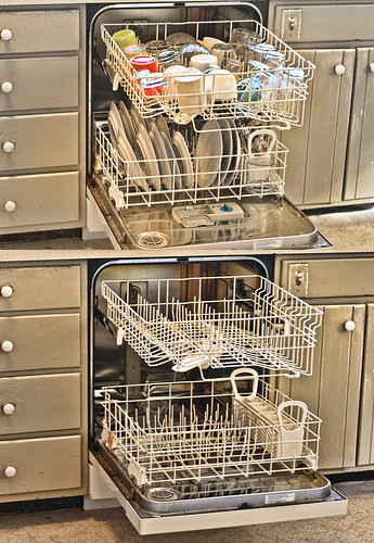 dishwasher diptych