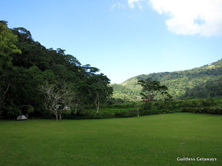 bangkong-kahoy-quezon.jpg