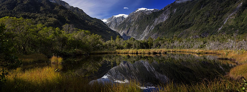 newzealand reflection landscape pond glacier franz josef mollybrown peterspool