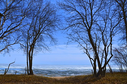 blue trees lake canada ice nature water weather see nikon wasser manitoba blau eis bäume lakeofthewoods wetter buffalopoint lispeltuut nikond5100