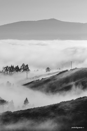 mountain tree silhouette fog niebla pontevedra cortegada acañiza