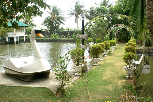 mays garden swan boat