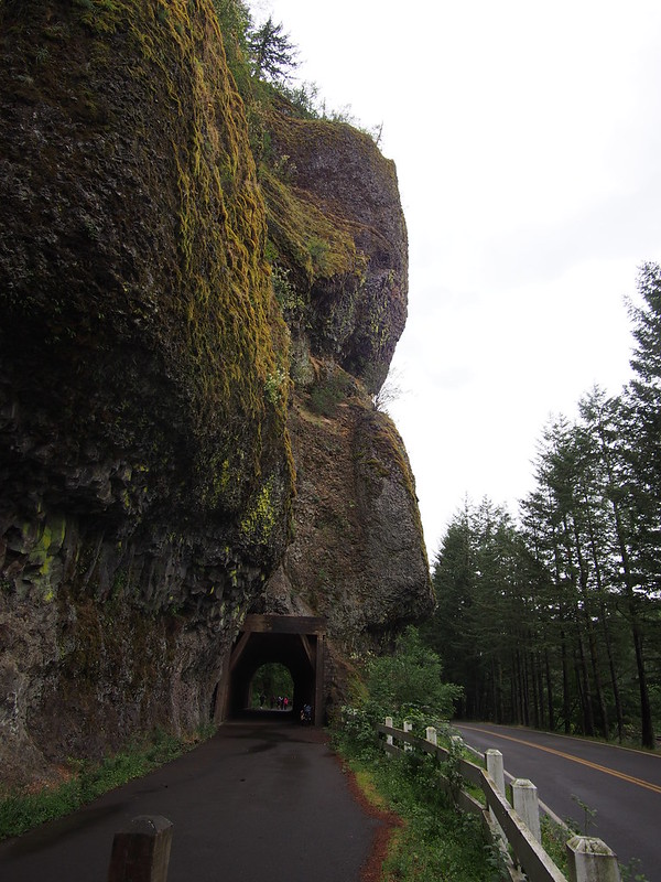 Oneonta Tunnel and Bluff