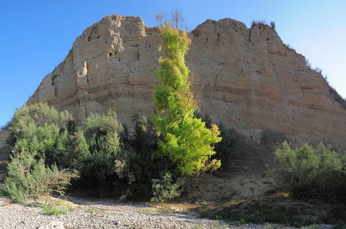 landscape israel archaia telgama teljemmeh