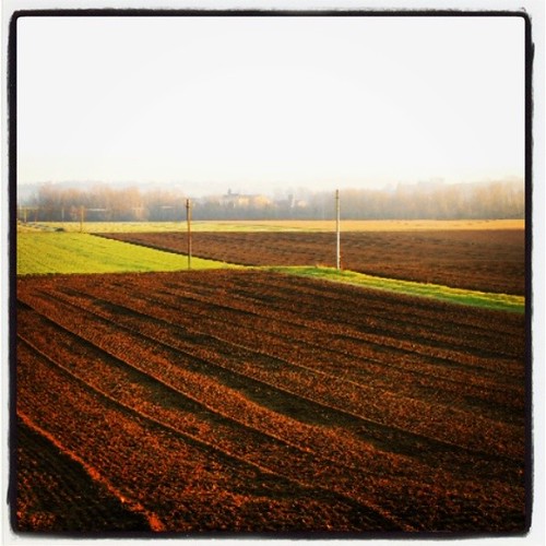sunset square tramonto country lofi campagna squareformat fidenza fornio iphoneography instagramapp uploaded:by=instagram foursquare:venue=521a78322fc631f8012044b7