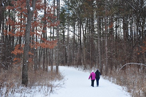 trees winter people white snow color nature forest walking woods open purple hiking path pair expanse waterfallglenforestpreserve
