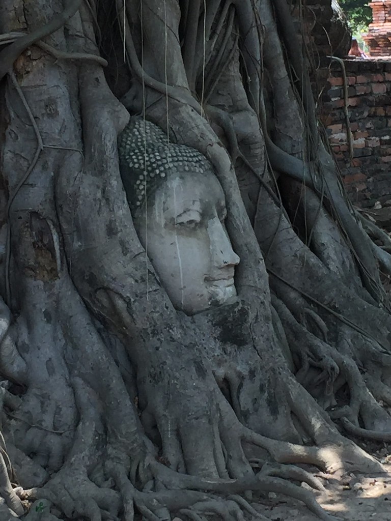 Day trip to Ayutthaya
