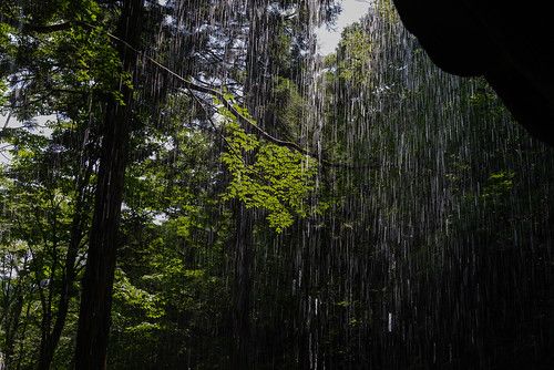 summer japan forest nikon 日本 nikkor 夏 afs okayama 滝 岡山県 d600 2485mm afsnikkor2485mmf3545gedvr 苫田郡 岩井滝